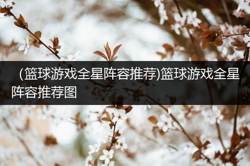 （篮球游戏全星阵容推荐)篮球游戏全星阵容推荐图
