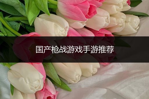 国产枪战游戏手游推荐