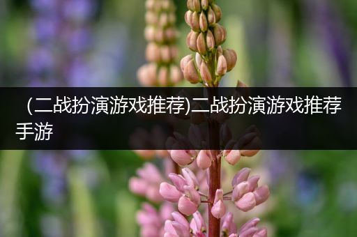 （二战扮演游戏推荐)二战扮演游戏推荐手游