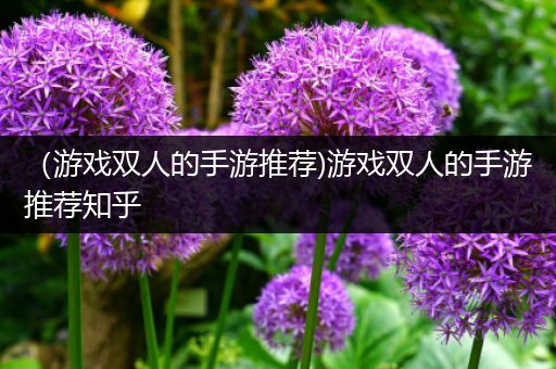 （游戏双人的手游推荐)游戏双人的手游推荐知乎