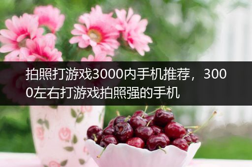 拍照打游戏3000内手机推荐，3000左右打游戏拍照强的手机