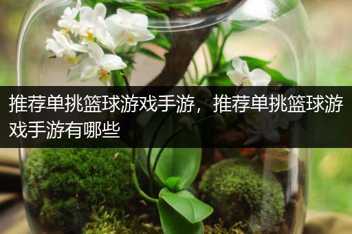 推荐单挑篮球游戏手游，推荐单挑篮球游戏手游有哪些