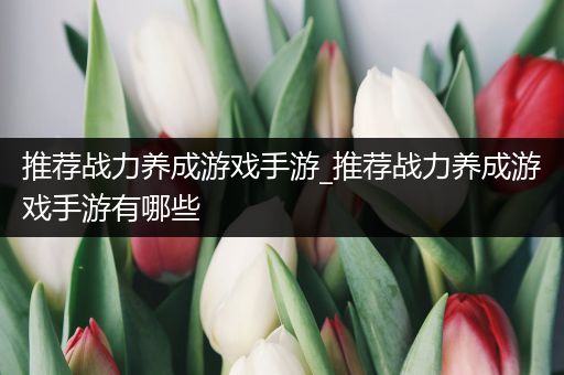 推荐战力养成游戏手游_推荐战力养成游戏手游有哪些