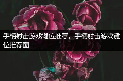手柄射击游戏键位推荐，手柄射击游戏键位推荐图