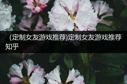 （定制女友游戏推荐)定制女友游戏推荐知乎