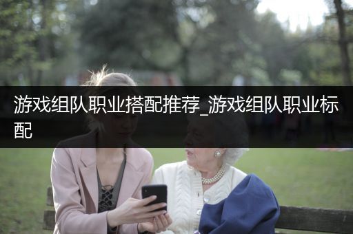 游戏组队职业搭配推荐_游戏组队职业标配