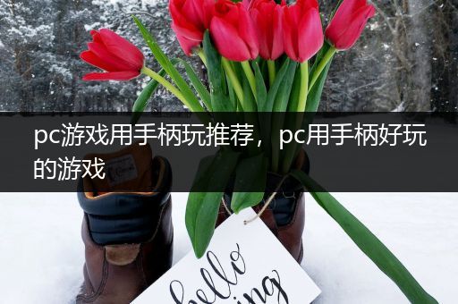 pc游戏用手柄玩推荐，pc用手柄好玩的游戏