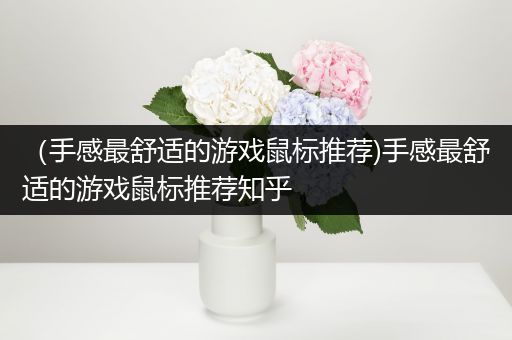 （手感最舒适的游戏鼠标推荐)手感最舒适的游戏鼠标推荐知乎