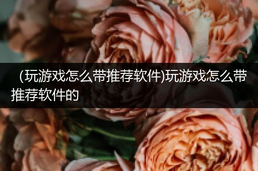 （玩游戏怎么带推荐软件)玩游戏怎么带推荐软件的