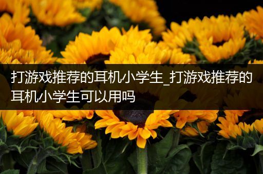 打游戏推荐的耳机小学生_打游戏推荐的耳机小学生可以用吗