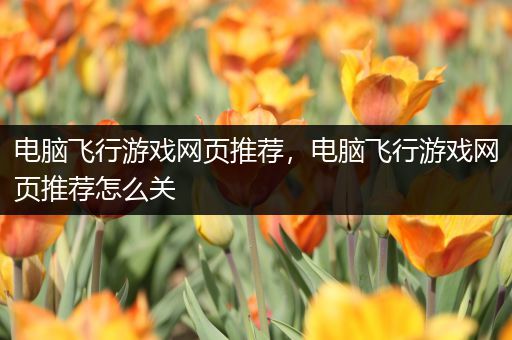 电脑飞行游戏网页推荐，电脑飞行游戏网页推荐怎么关