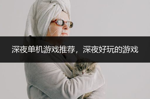 深夜单机游戏推荐，深夜好玩的游戏