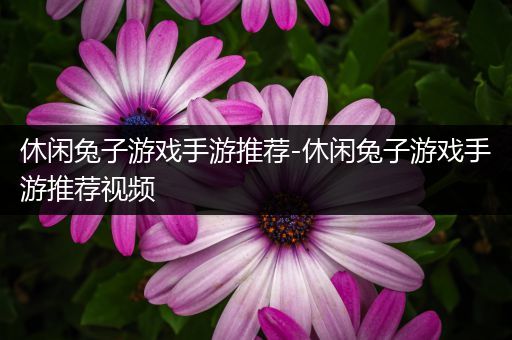 休闲兔子游戏手游推荐-休闲兔子游戏手游推荐视频