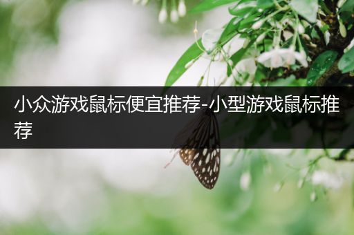 小众游戏鼠标便宜推荐-小型游戏鼠标推荐