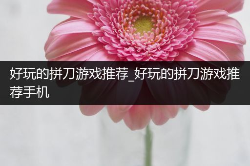 好玩的拼刀游戏推荐_好玩的拼刀游戏推荐手机