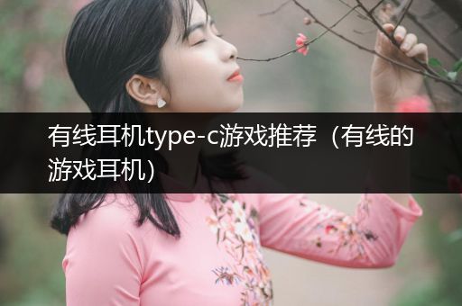 有线耳机type-c游戏推荐（有线的游戏耳机）