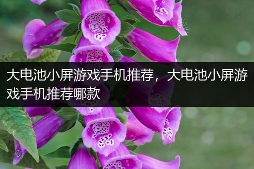 大电池小屏游戏手机推荐，大电池小屏游戏手机推荐哪款