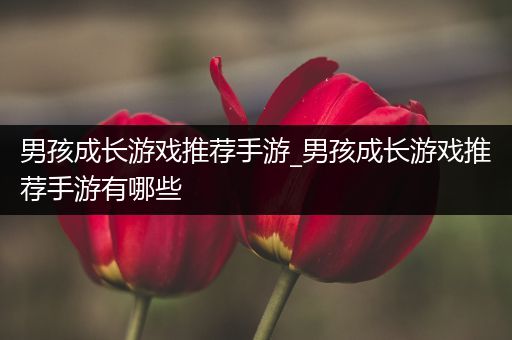 男孩成长游戏推荐手游_男孩成长游戏推荐手游有哪些