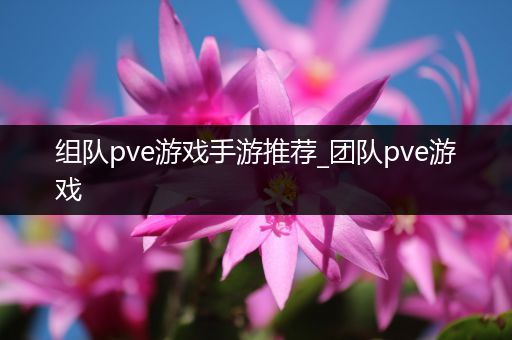 组队pve游戏手游推荐_团队pve游戏