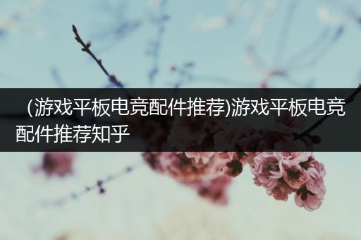 （游戏平板电竞配件推荐)游戏平板电竞配件推荐知乎