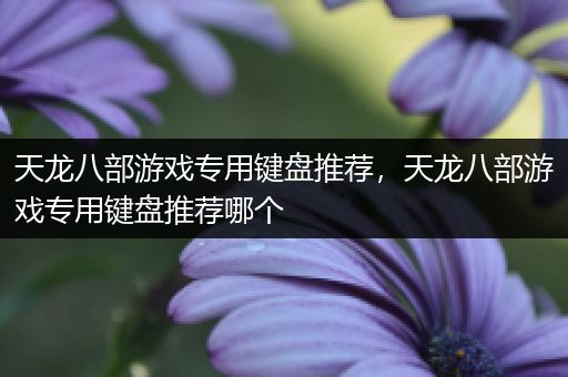 天龙八部游戏专用键盘推荐，天龙八部游戏专用键盘推荐哪个
