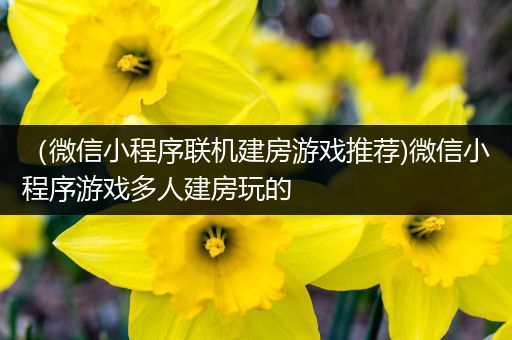 （微信小程序联机建房游戏推荐)微信小程序游戏多人建房玩的