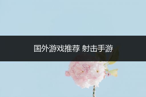国外游戏推荐 射击手游