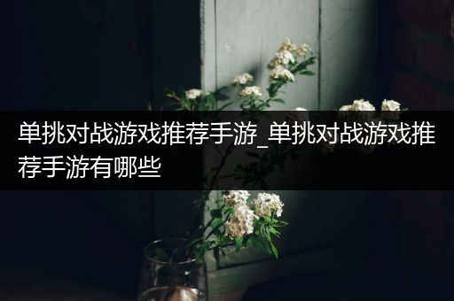 单挑对战游戏推荐手游_单挑对战游戏推荐手游有哪些