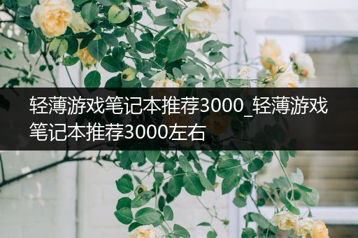 轻薄游戏笔记本推荐3000_轻薄游戏笔记本推荐3000左右