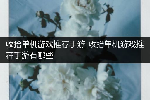 收拾单机游戏推荐手游_收拾单机游戏推荐手游有哪些