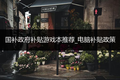 国补政府补贴游戏本推荐_电脑补贴政策