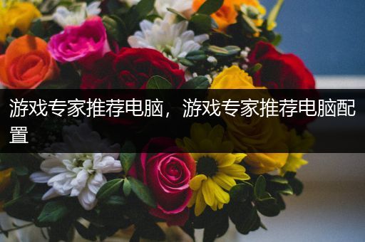 游戏专家推荐电脑，游戏专家推荐电脑配置