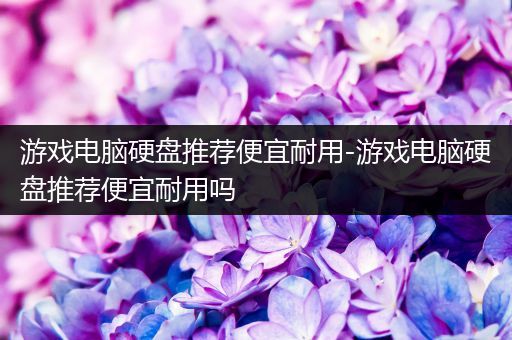 游戏电脑硬盘推荐便宜耐用-游戏电脑硬盘推荐便宜耐用吗