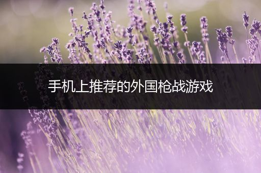 手机上推荐的外国枪战游戏
