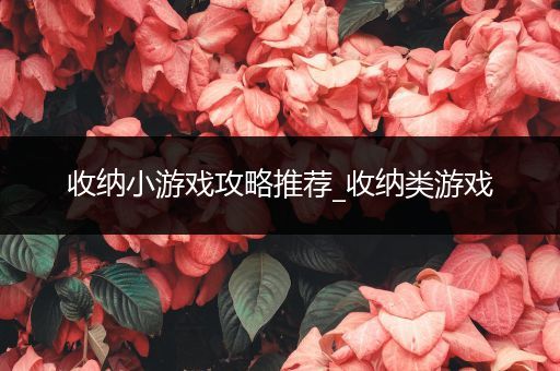 收纳小游戏攻略推荐_收纳类游戏