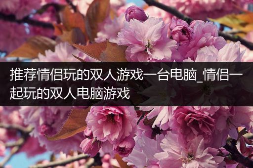 推荐情侣玩的双人游戏一台电脑_情侣一起玩的双人电脑游戏