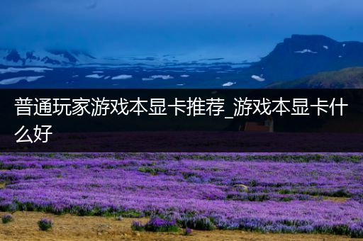 普通玩家游戏本显卡推荐_游戏本显卡什么好