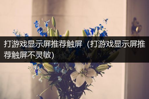 打游戏显示屏推荐触屏（打游戏显示屏推荐触屏不灵敏）