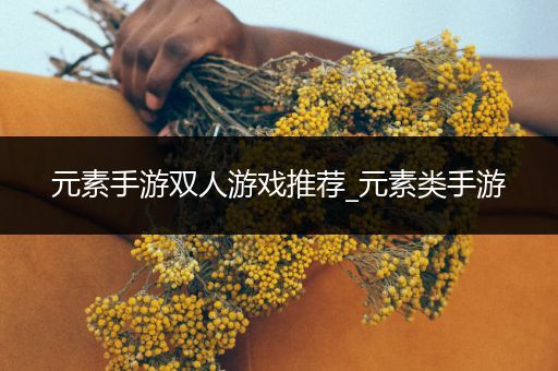 元素手游双人游戏推荐_元素类手游