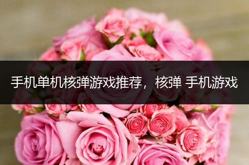 手机单机核弹游戏推荐，核弹 手机游戏