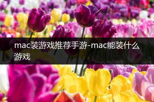 mac装游戏推荐手游-mac能装什么游戏