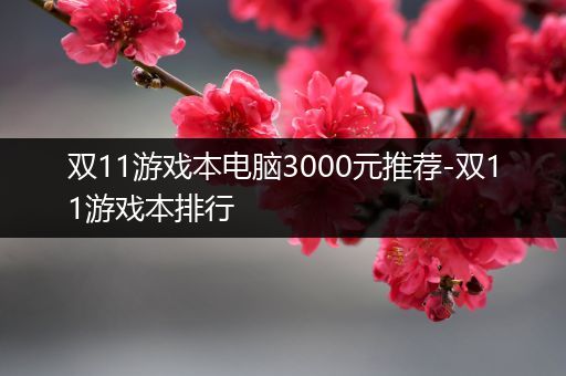 双11游戏本电脑3000元推荐-双11游戏本排行