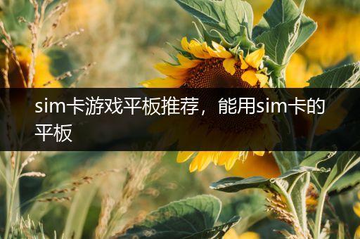 sim卡游戏平板推荐，能用sim卡的平板