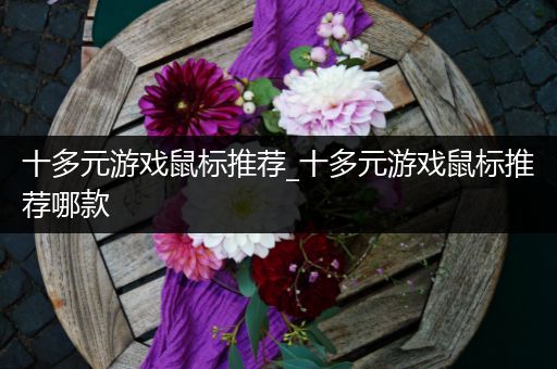 十多元游戏鼠标推荐_十多元游戏鼠标推荐哪款