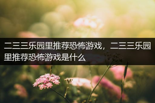 二三三乐园里推荐恐怖游戏，二三三乐园里推荐恐怖游戏是什么