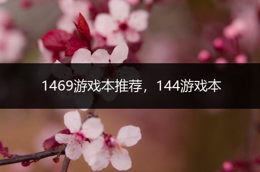 1469游戏本推荐，144游戏本
