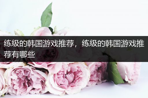 练级的韩国游戏推荐，练级的韩国游戏推荐有哪些