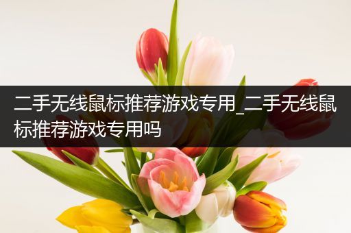 二手无线鼠标推荐游戏专用_二手无线鼠标推荐游戏专用吗