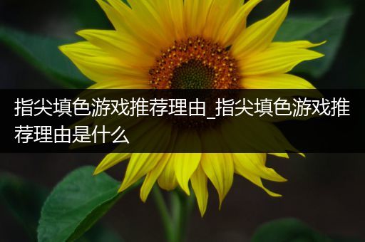 指尖填色游戏推荐理由_指尖填色游戏推荐理由是什么