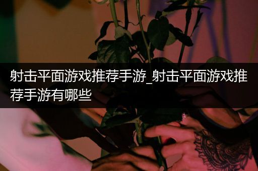射击平面游戏推荐手游_射击平面游戏推荐手游有哪些